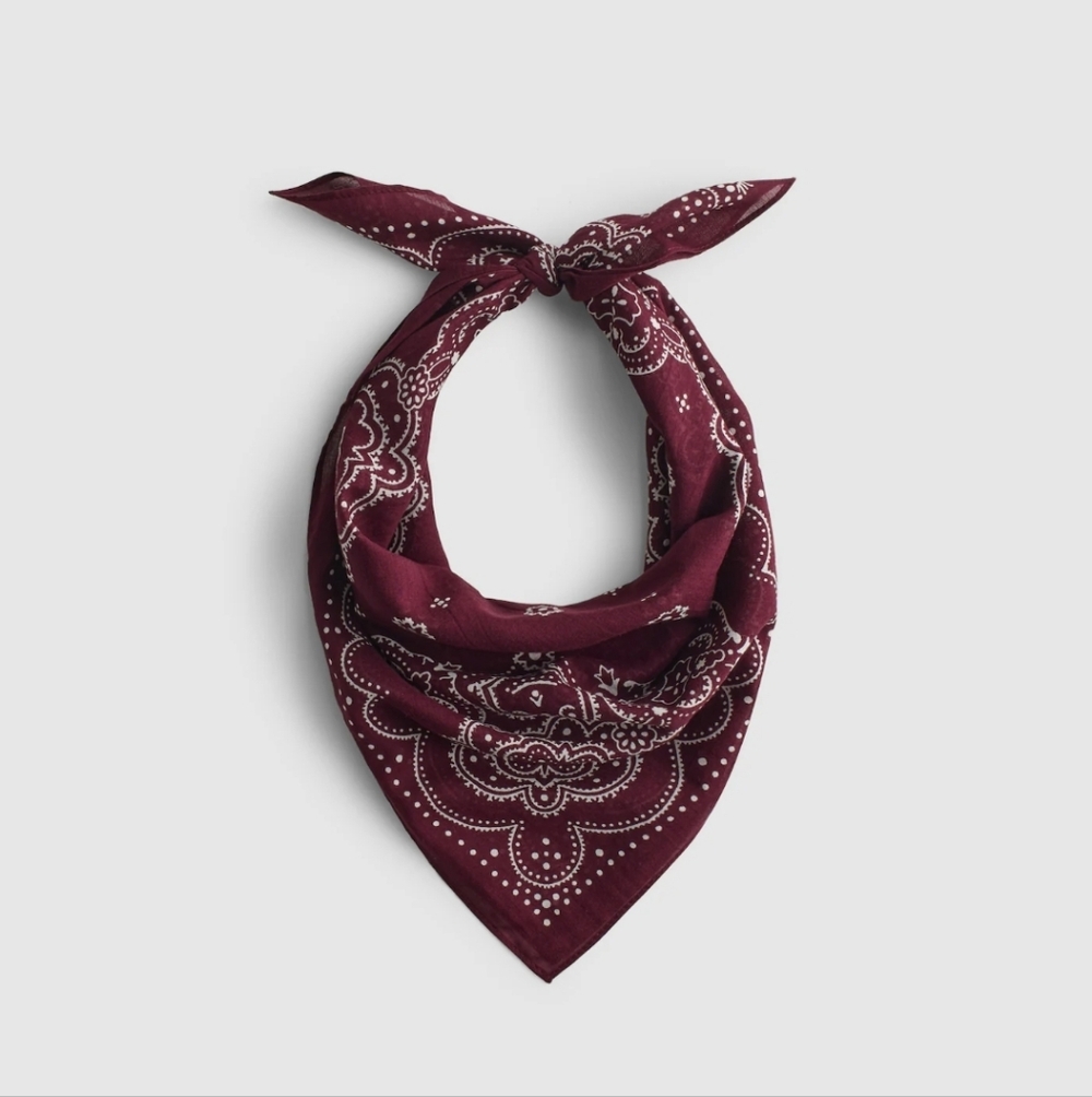 Madewell Organic Cotton Bandana - Picture 2 of 6